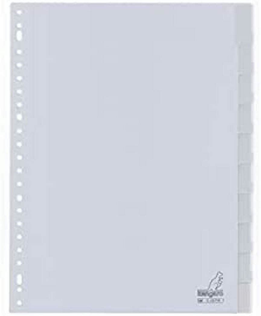 Kangaro, Tabs with Window - 10x - 23 holes - (Grey) (G410FM) /Stationary