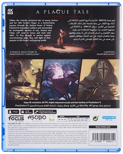 FOCUS HOME INTERACTIVE A Plague Tale: Innocence HD *New & Sealed*