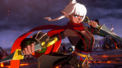 DNF Duel /PS5 *New & Sealed*