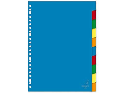 TAB SHEET KANGARO A410M A4 23R BLANCO PP ASS 10DLG blue /Stationary