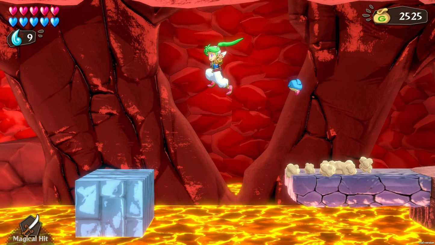 Wonder Boy: Asha in Monster World (Nintendo Switch) [video game]