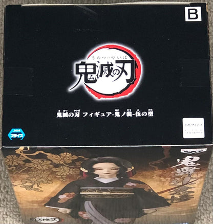Bp Ds Kibutsuji Vol 5 Indies Merchandise