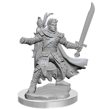 Male Half-Elf Ranger: D&D Frameworks (W2A)