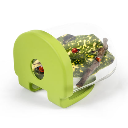 Bug Photography Kit (deleted) /Toys