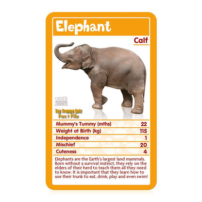 Baby Animals Top Trumps Card Game