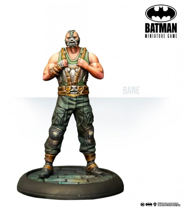 Bmg Tdkr The Fire Rises Indies Merchandise