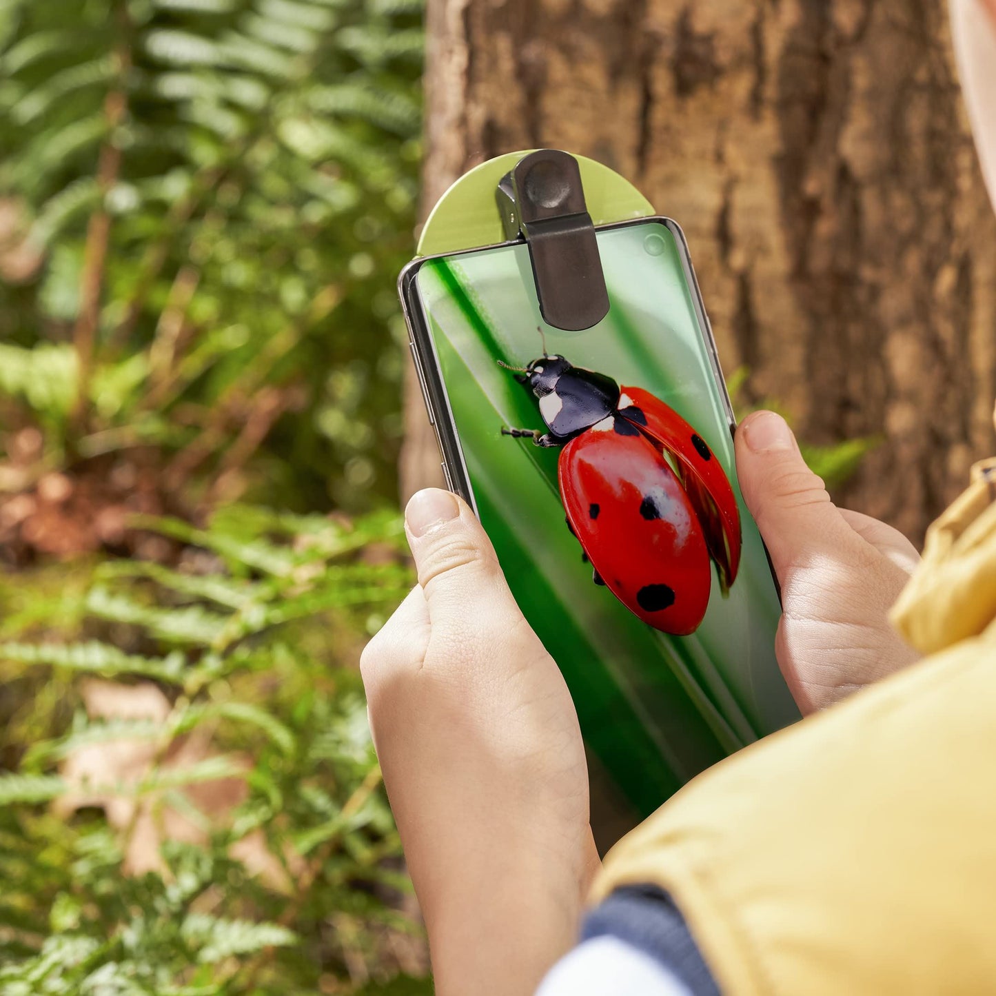 Bug Photography Kit (deleted) /Toys