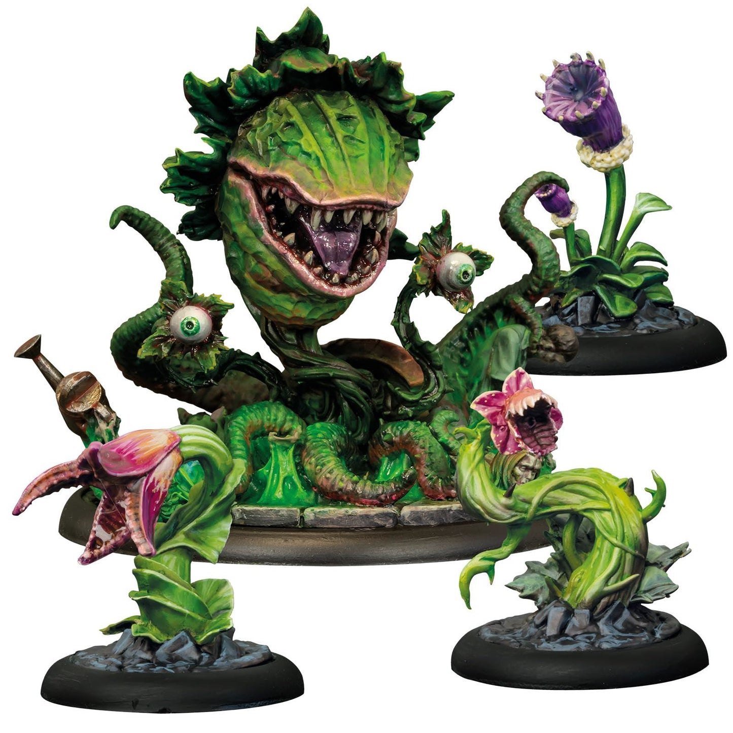 Bmg Frank & The Plants Indies Merchandise