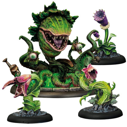 Bmg Frank & The Plants Indies Merchandise