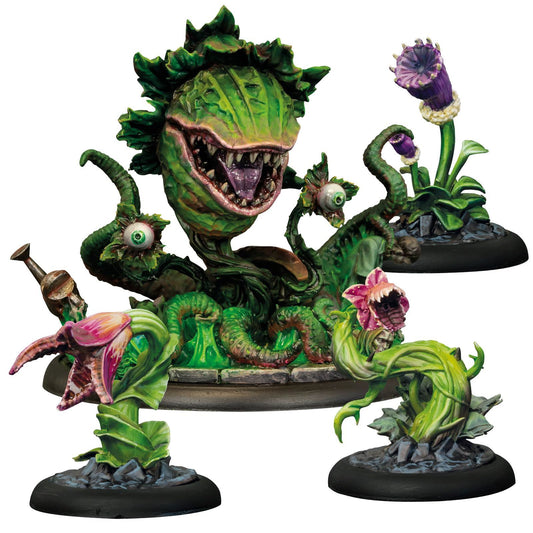 Bmg Frank & The Plants Indies Merchandise
