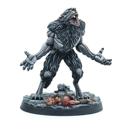 Tes Cta Companions Indies Merchandise