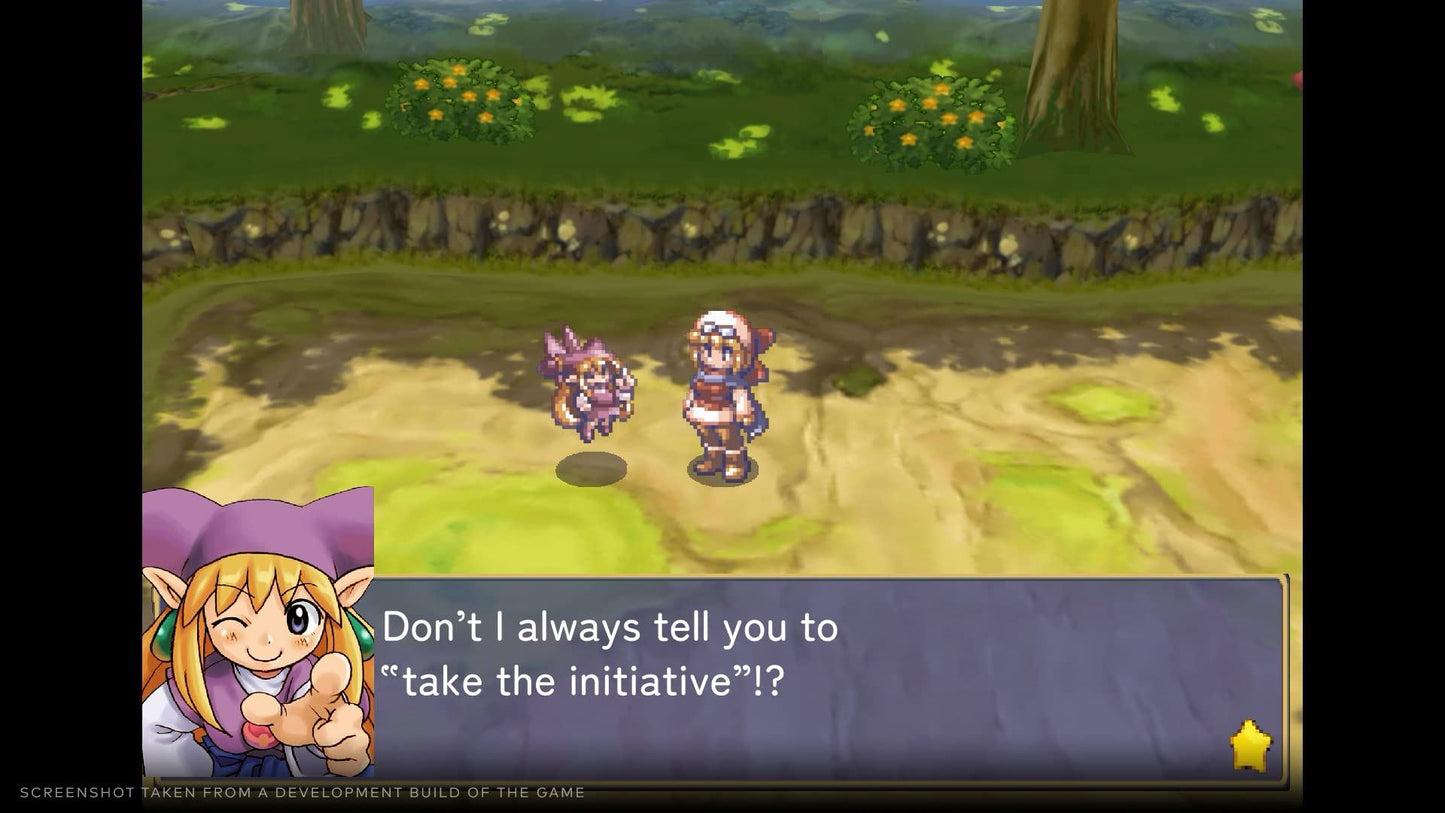 Rhapsody: Marl Kingdom Chronicles - Deluxe Edition (Nintendo Switch) [video game