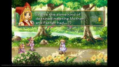 Rhapsody: Marl Kingdom Chronicles - Deluxe Edition (Nintendo Switch) [video game