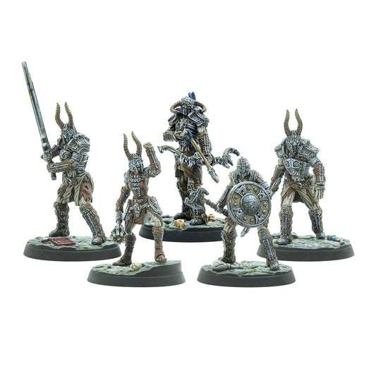 Tes Cta Draugr Lords Indies Merchandise
