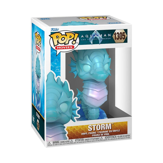 Aquaman and the Lost Kingdom POP! Vinyl Figure Storm 9 cm