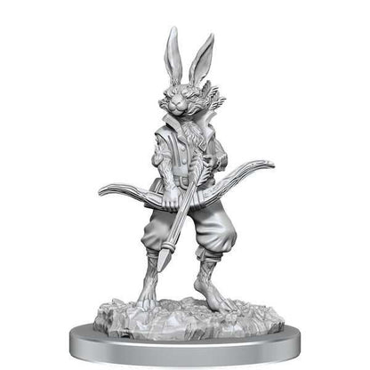 Paint Kit - Harengon: D&D Nolzur's Marvelous Unpainted Miniatures
