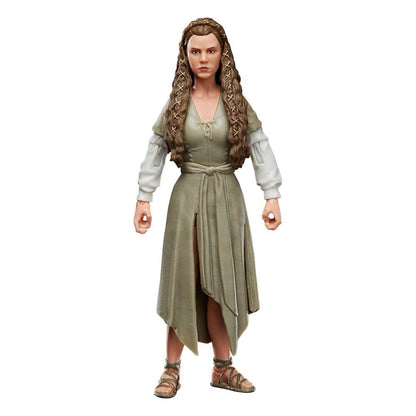 Star Wars Episode VI Black Series 2022 Princess Leia (Ewok Village) 15 cm