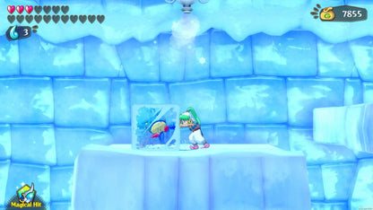 Wonder Boy: Asha in Monster World (Nintendo Switch) [video game]