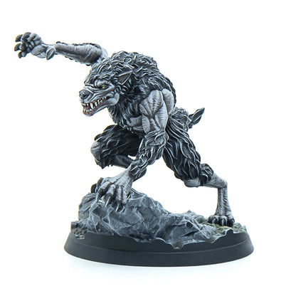Tes Cta Companions Indies Merchandise